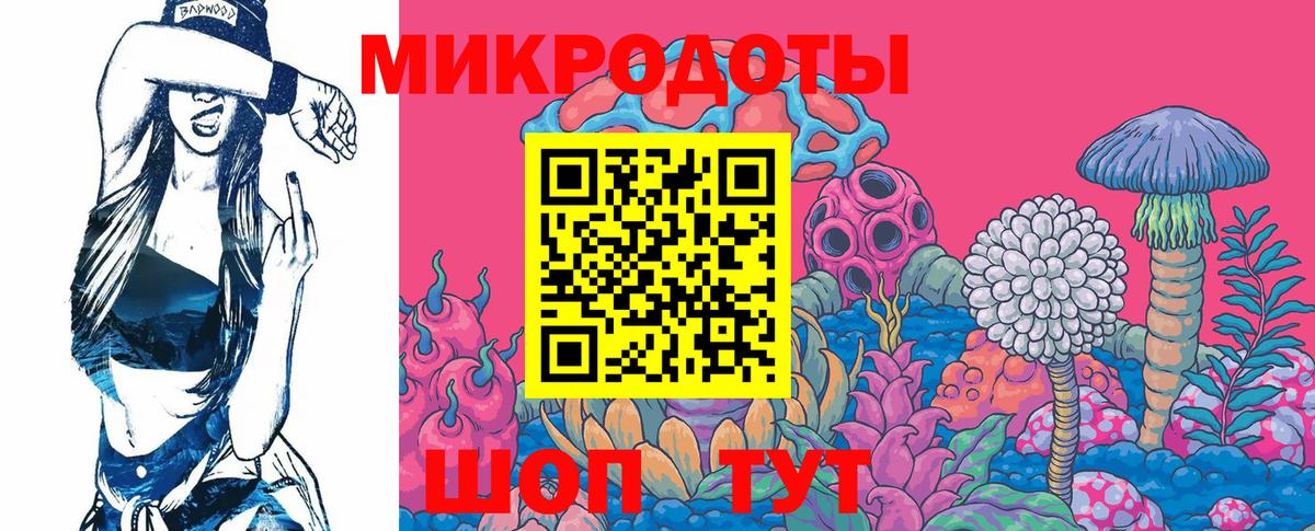 Минеральные Воды  купить  сайты  Вход с VPN  Псилоцибиновые грибы Psilocybe 