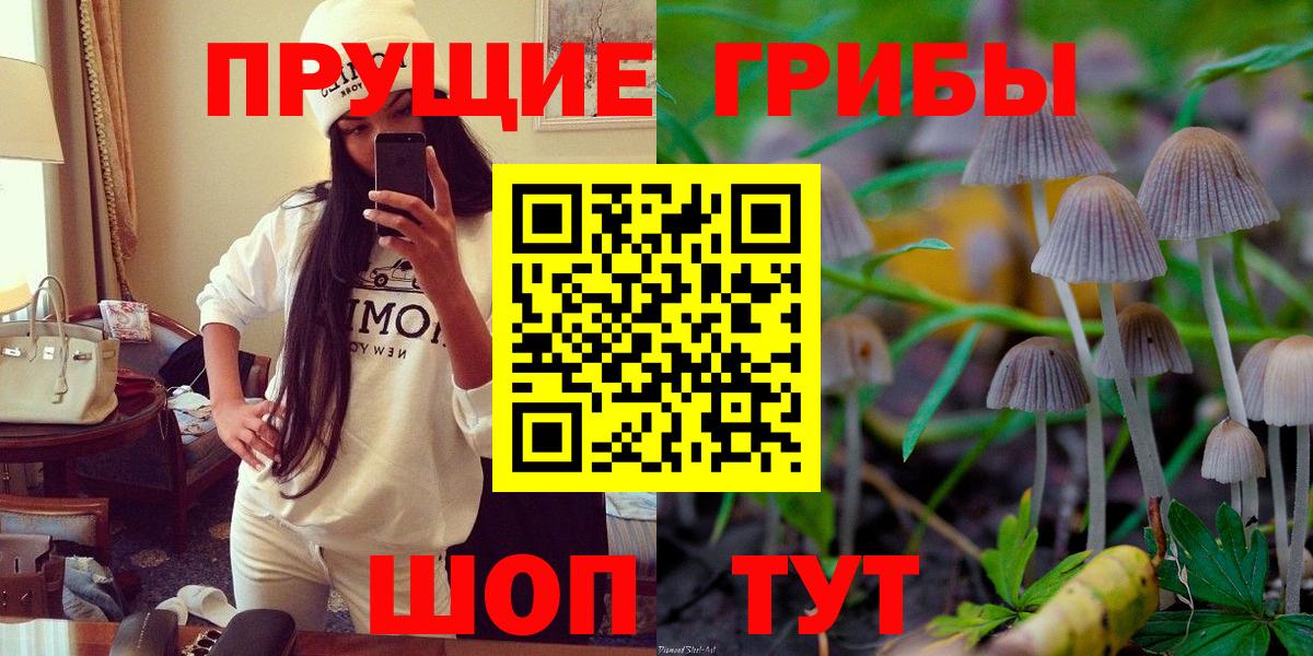 Псилоцибиновые грибы мухоморы Минеральные Воды